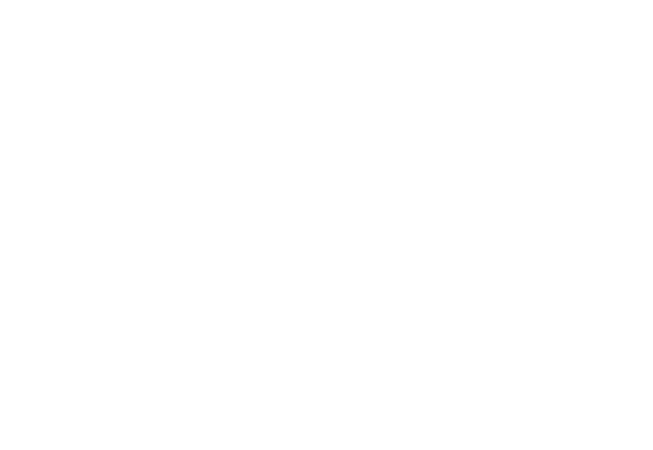الرائدة للسفر والسياحة